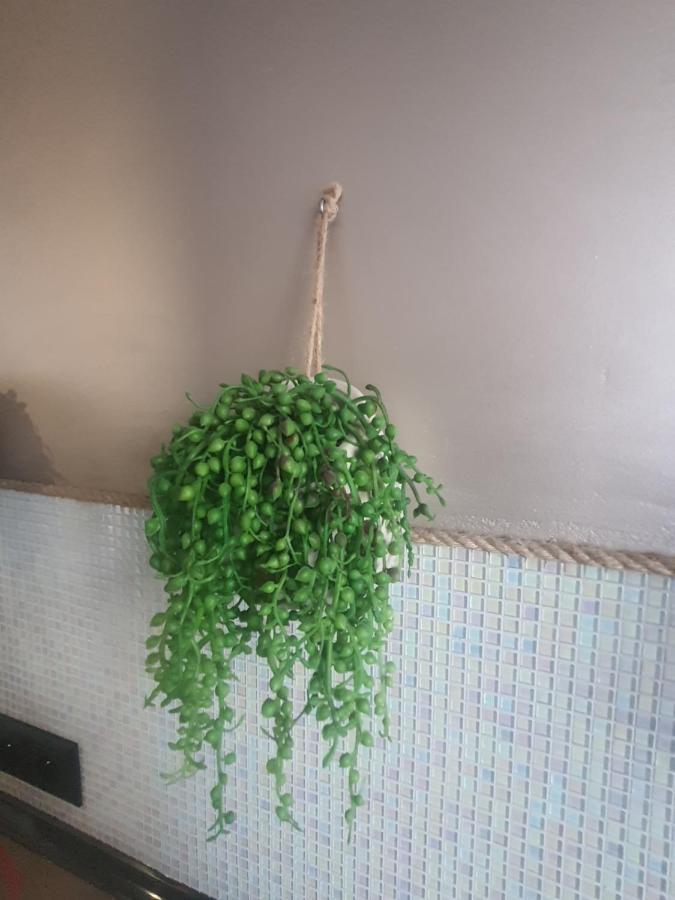 Apartament Nad Fontanna Apartment Malbork Luaran gambar